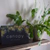 Canopy Gift Voucher